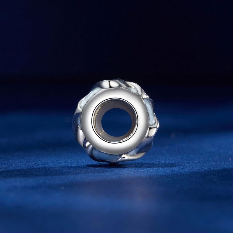 SCC2683(2).jpg