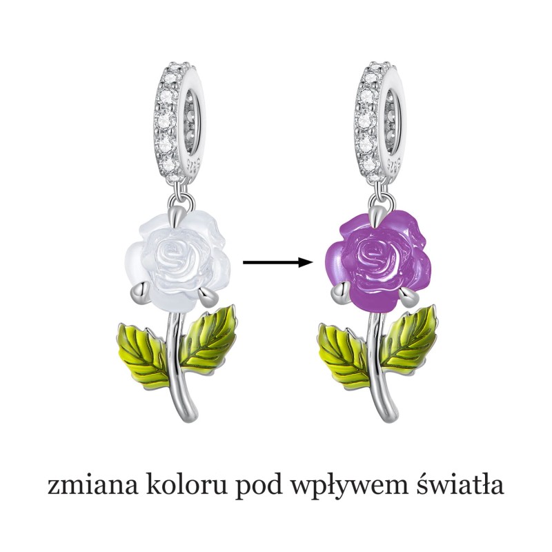 BSC824-VT-1- kopia.jpg