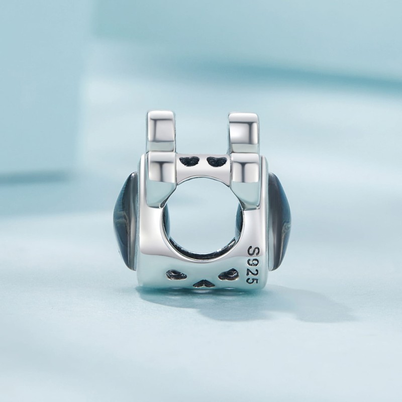 SCC2582 (3).jpg