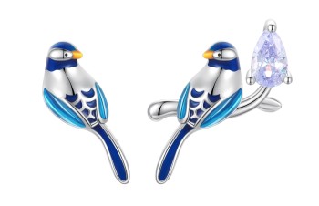 Srebrne Kolczyki - Kolorowy Ptak Czerwiński