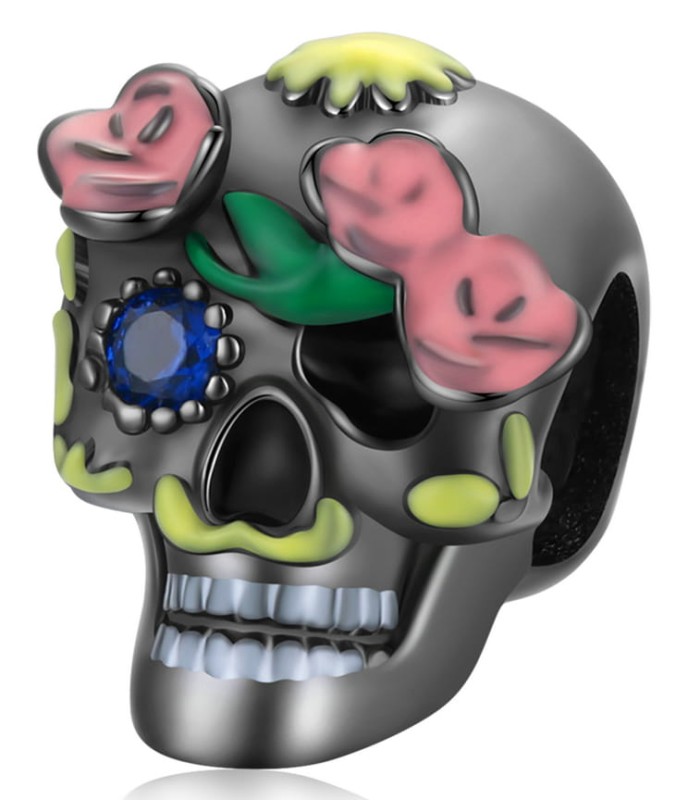 BSC523.jpg